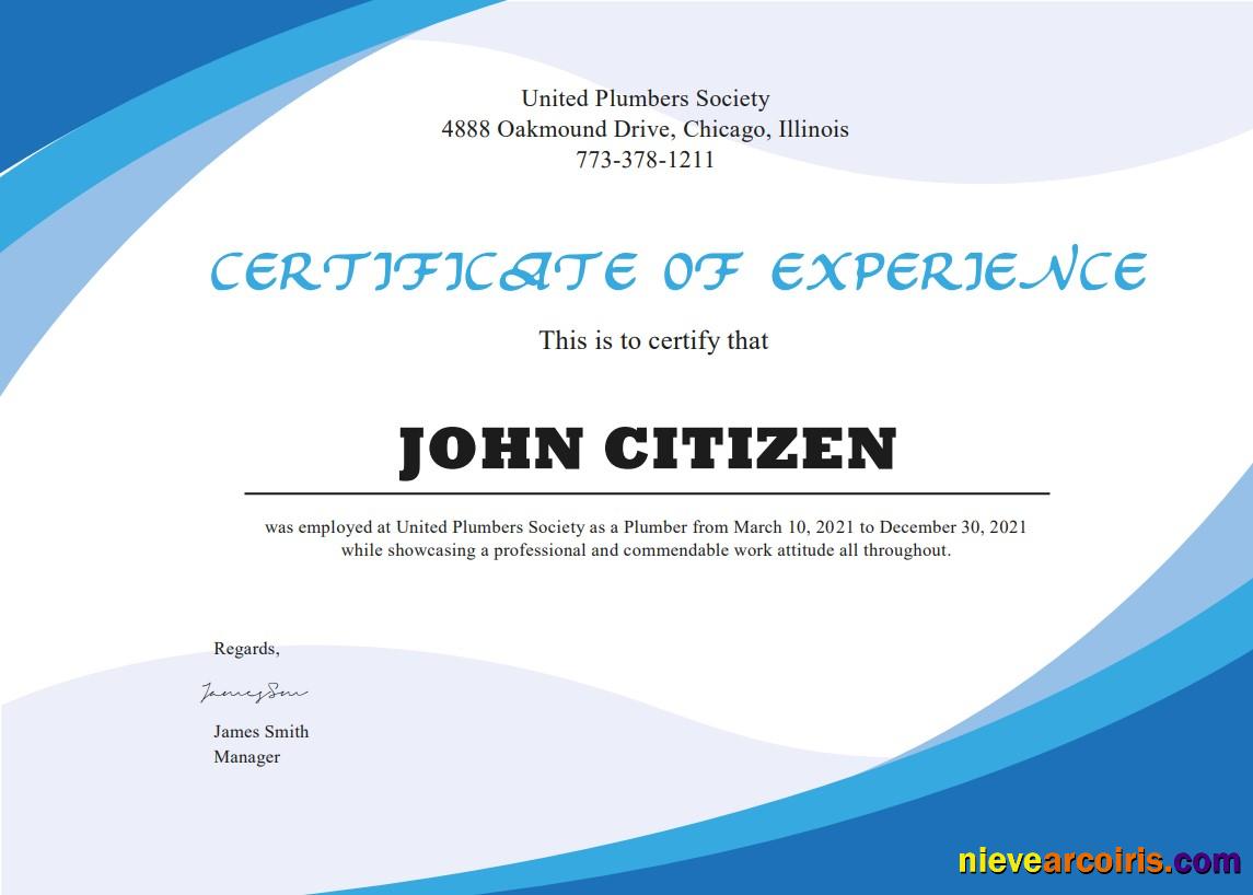 USA Plumbing Experience certificate